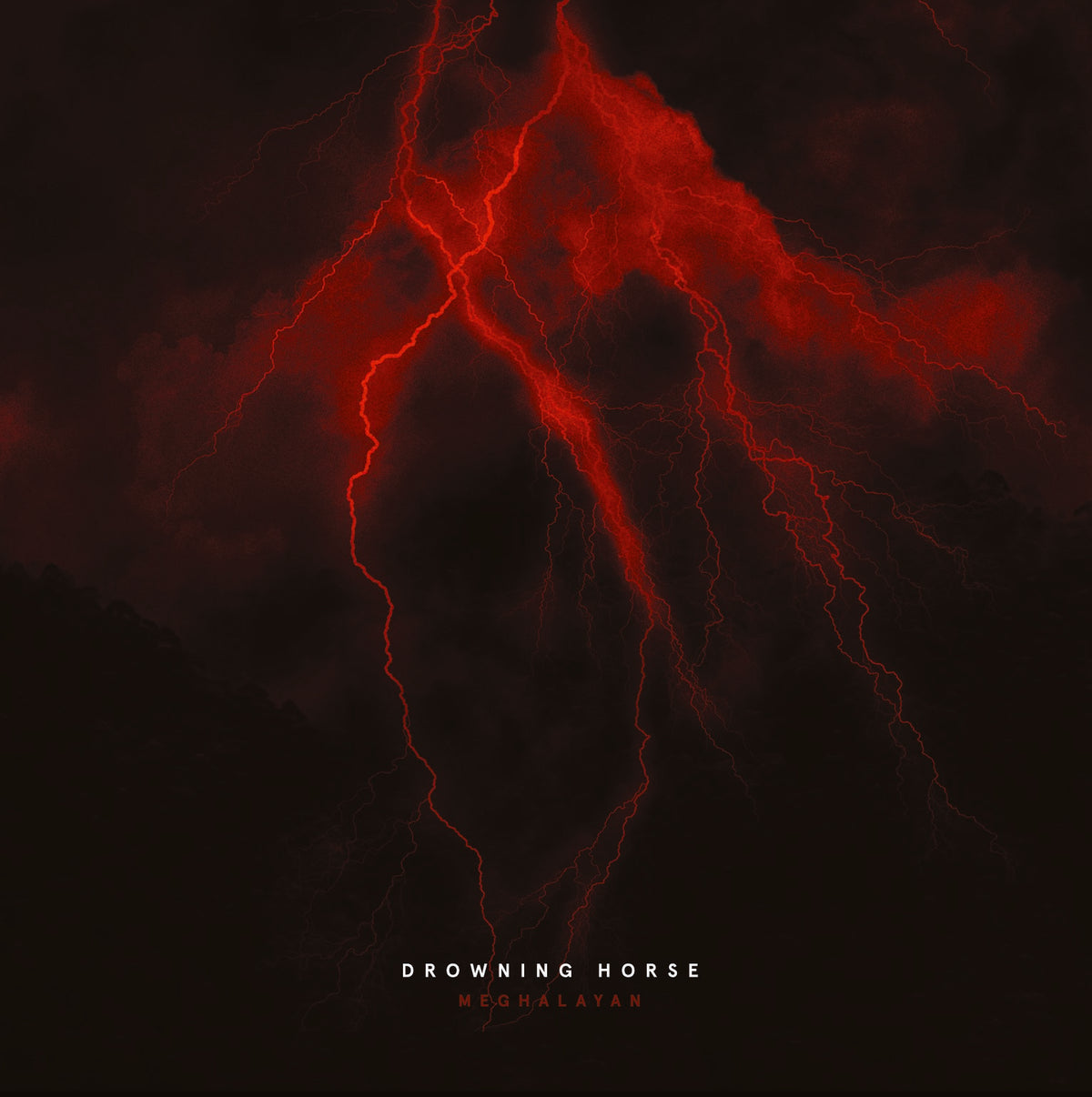 Drowning Horse - Meghalayan 12"