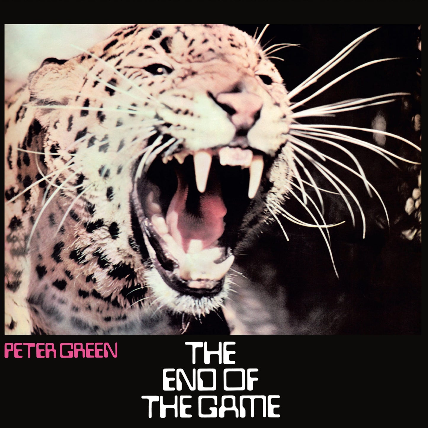 Peter Green - The End Of The Game CD