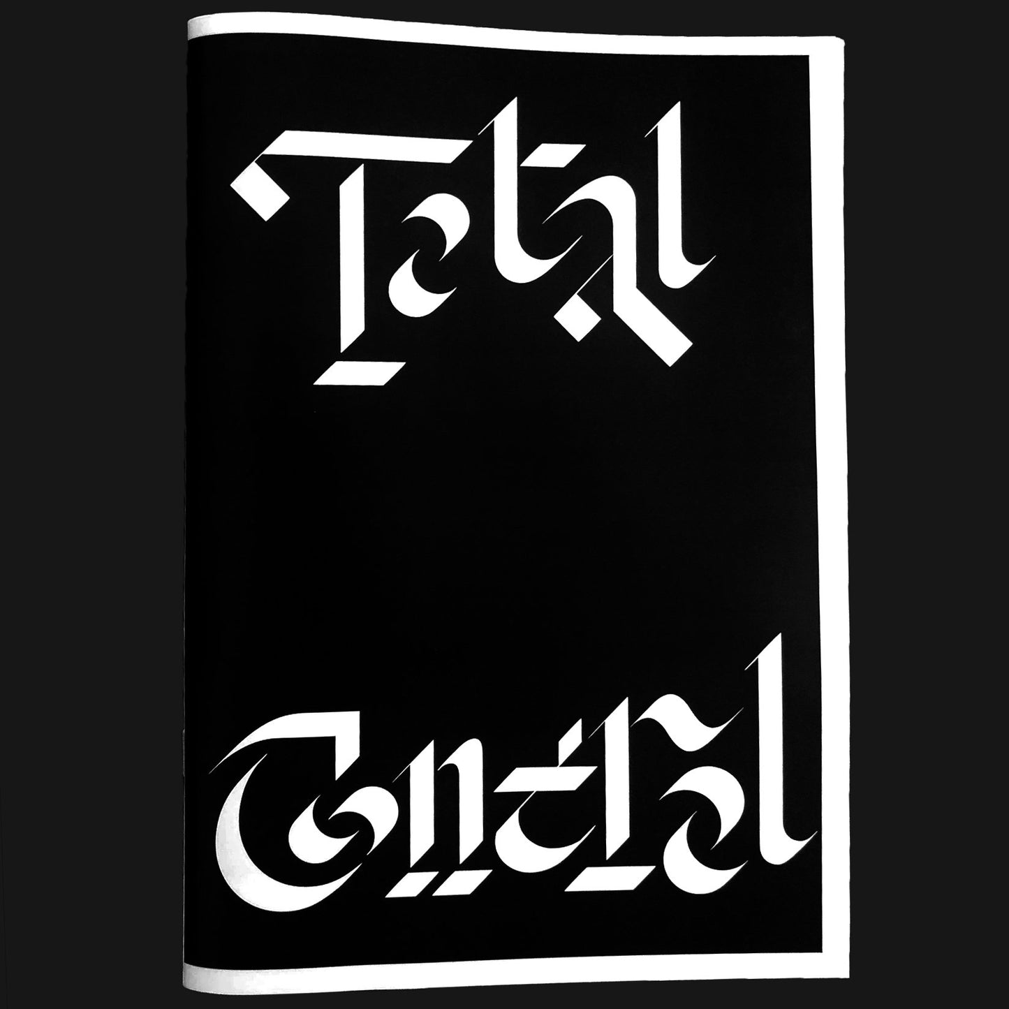 Distort Zine #55: Total Control Lyrics