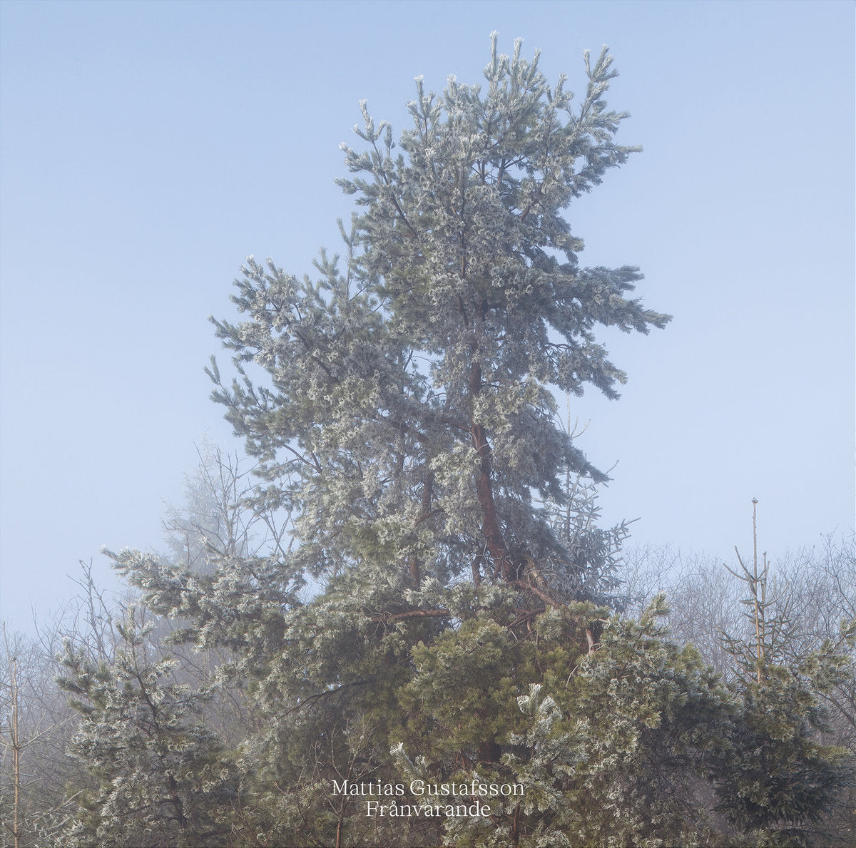 Mattias Gustafsson - Franvarande LP