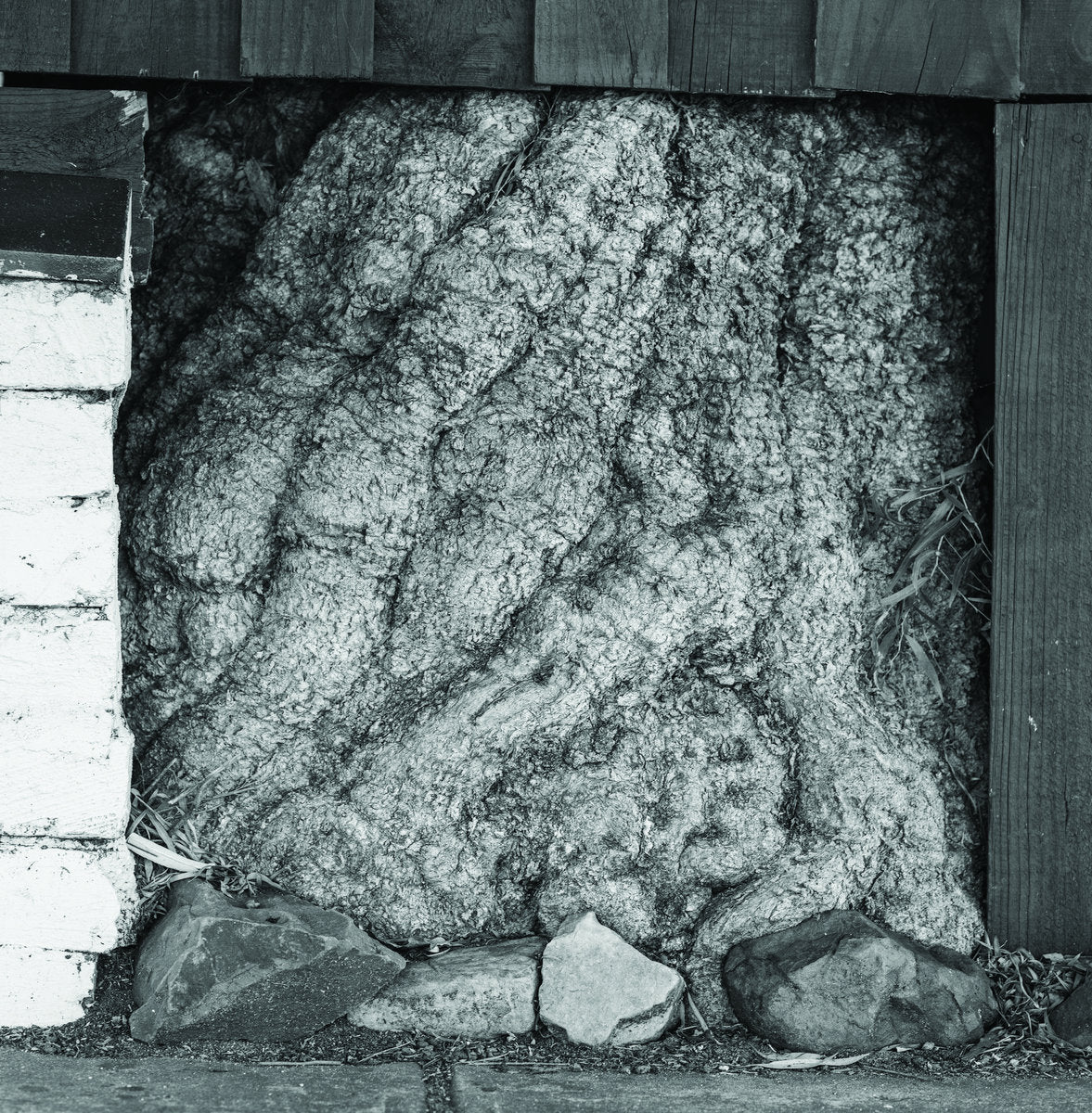 Urchyn - low lying plains LP