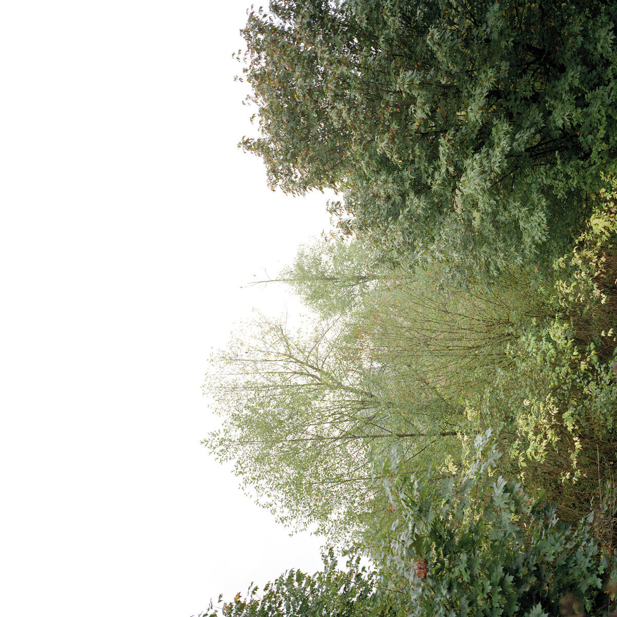 Growing - Soul Of The Rainbow And The Harmony Of Light CS