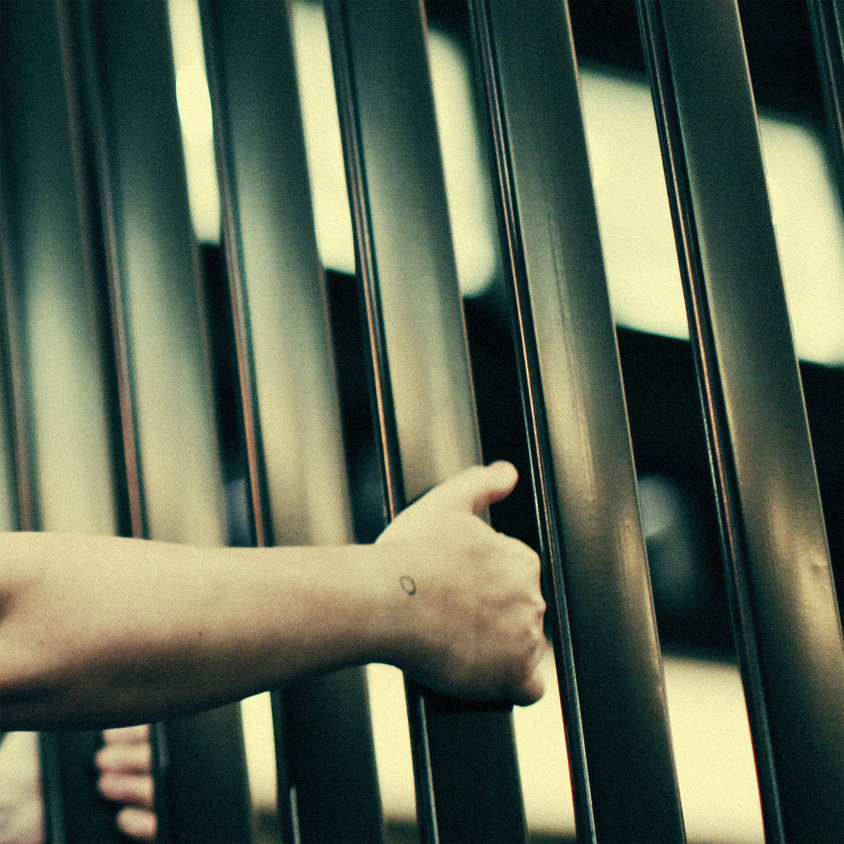 Simona Castricum - Panic/Desire LP