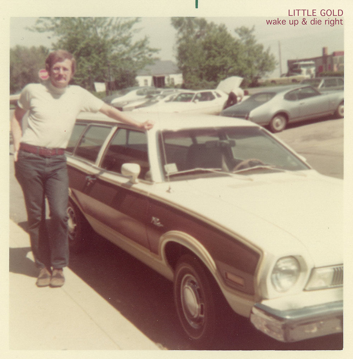 Little Gold - Wake Up & Die Right LP