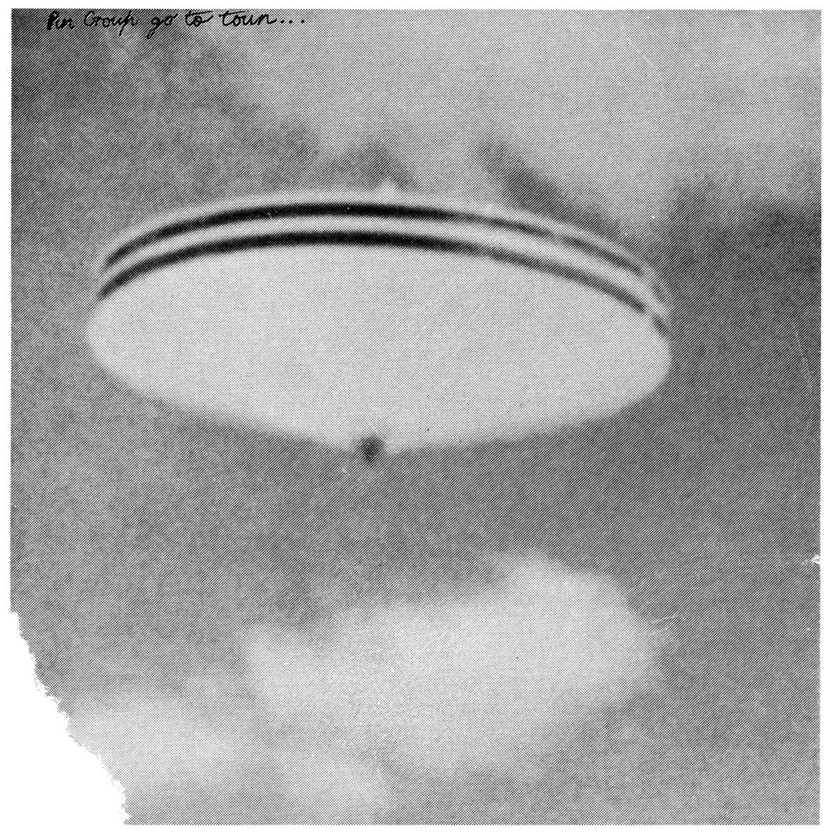 The Pin Group - Go To Town 12”