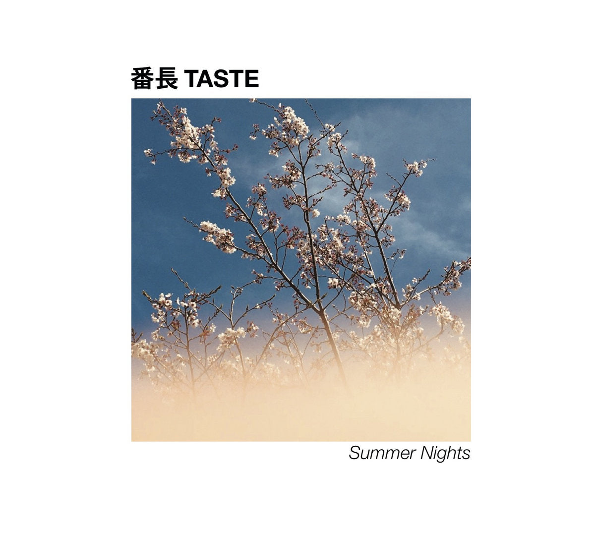 番⻑ TASTE - Summer Nights CD