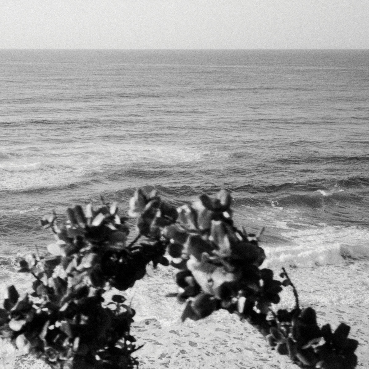 Blue Divers - Blue Divers I (Expanded Edition) LP