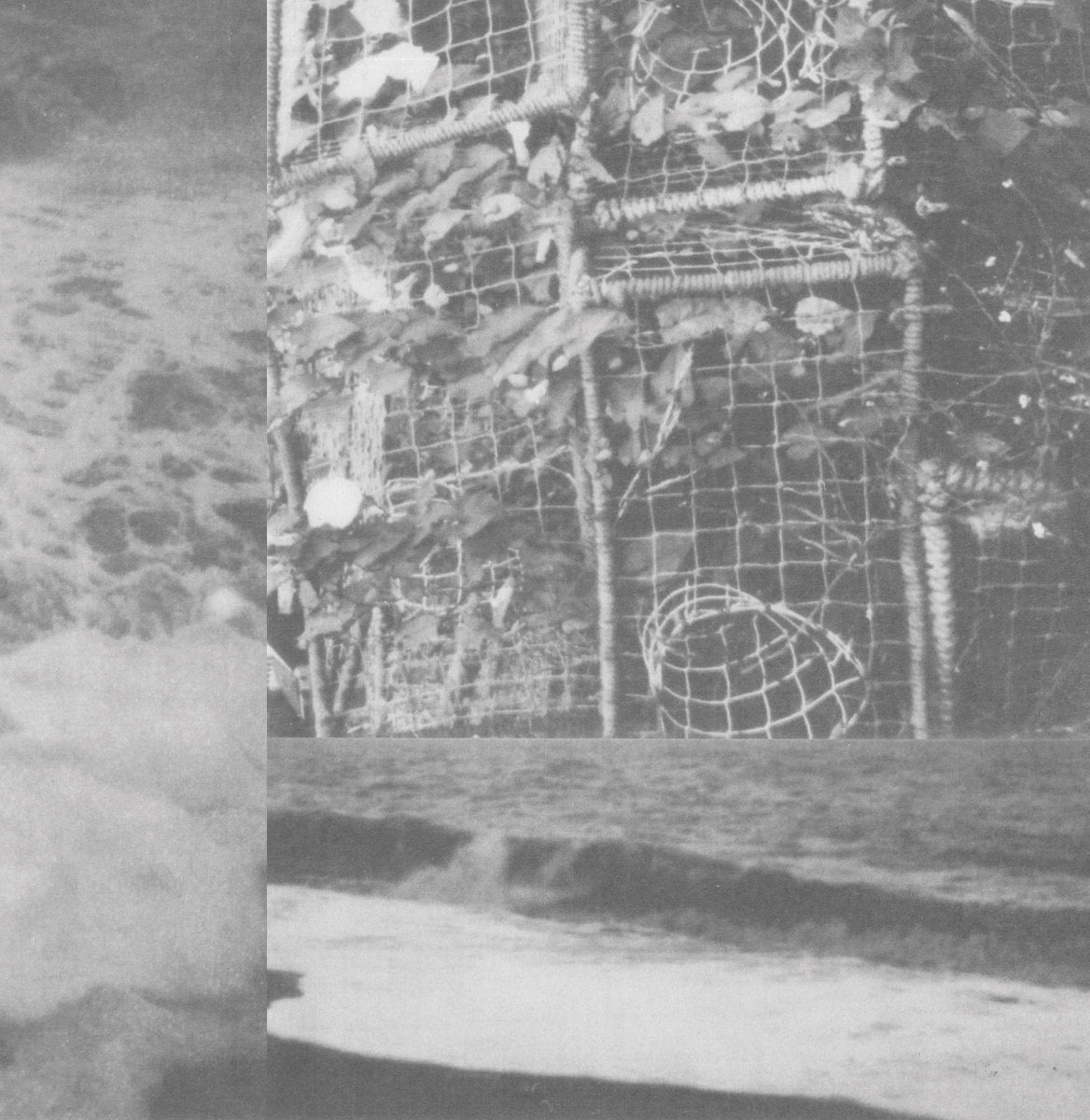 Cremation Lily - The Processes And Instruments Of Normal People LP