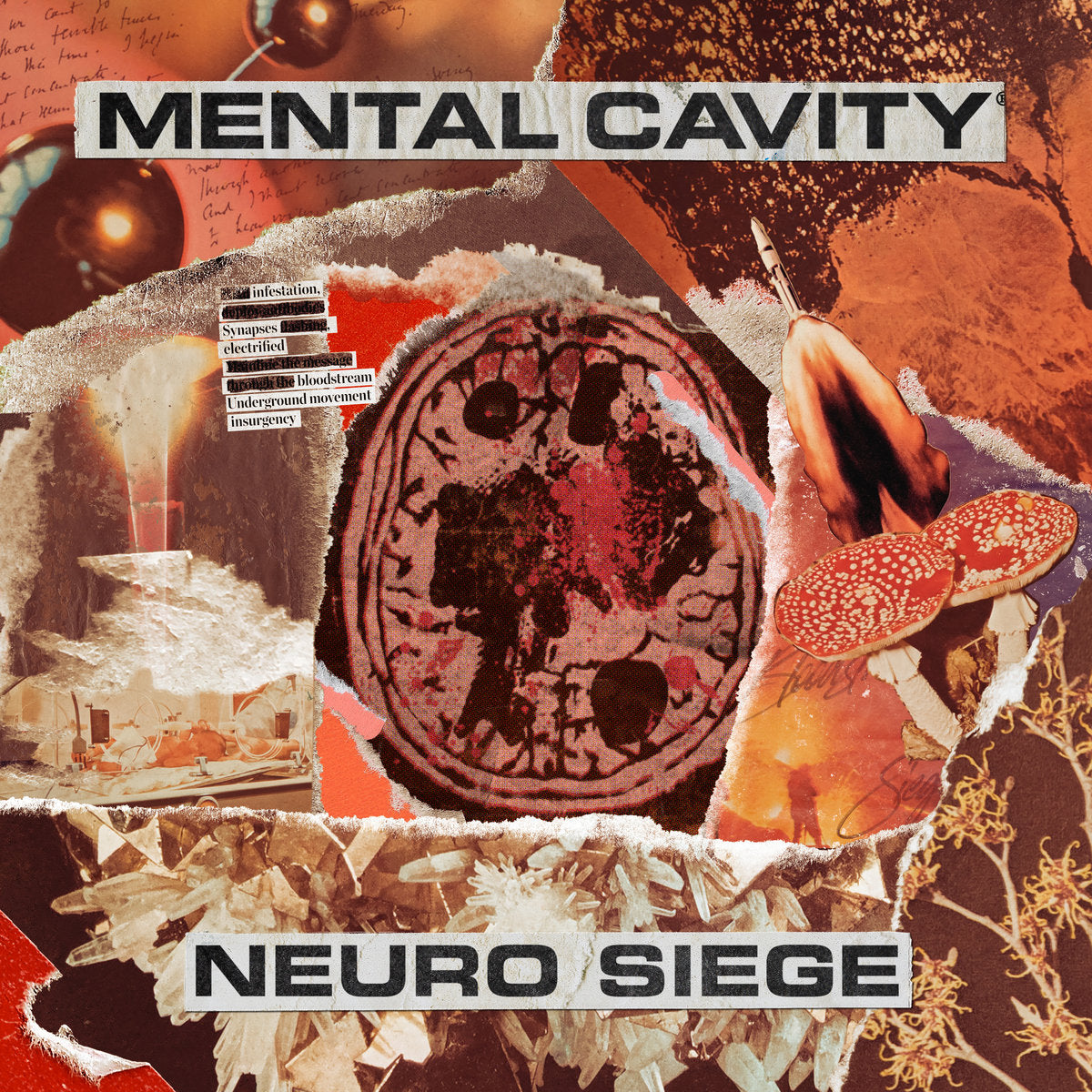 Mental Cavity - Neuro Siege LP