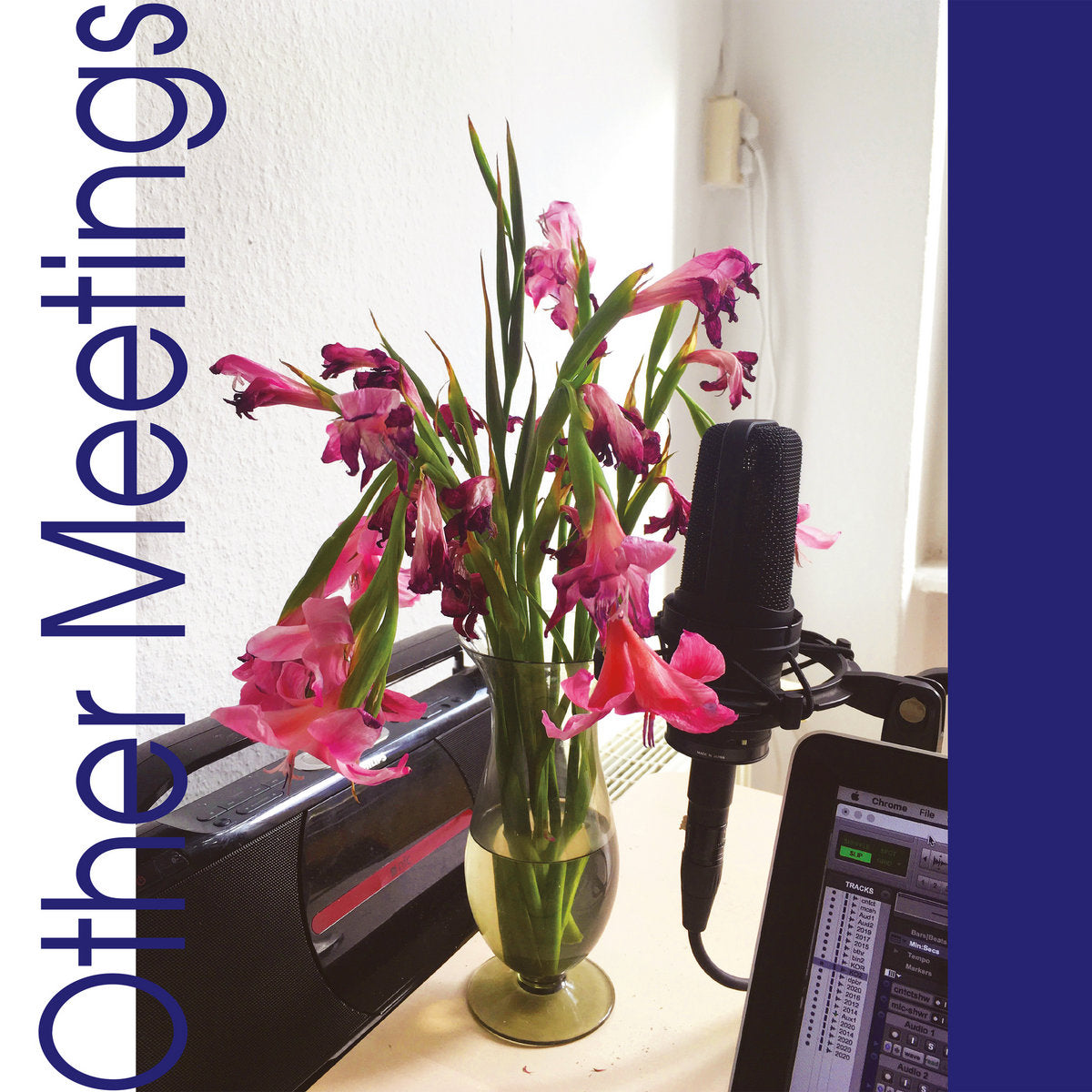 crys cole - Other Meetings LP