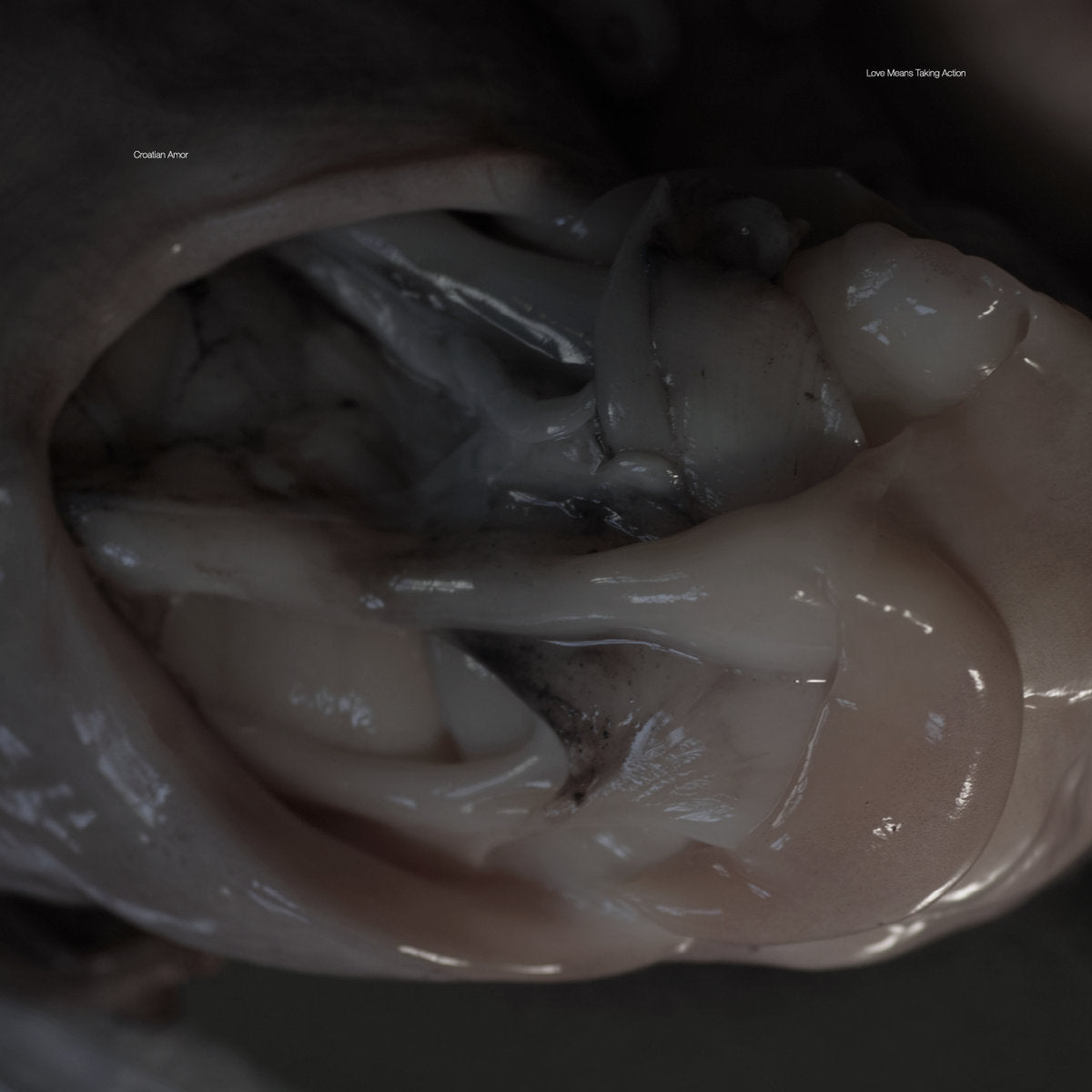 Croatian Amor - Love Means Taking Action CD