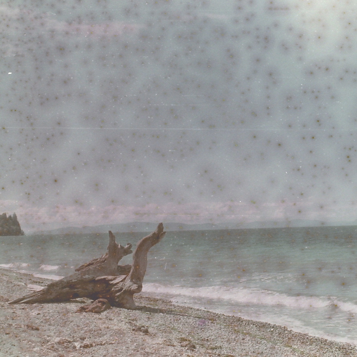 Tanson - Coral Grief CS