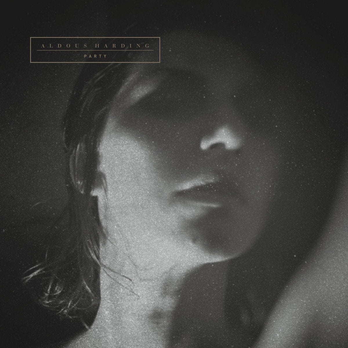 Aldous Harding - Party LP