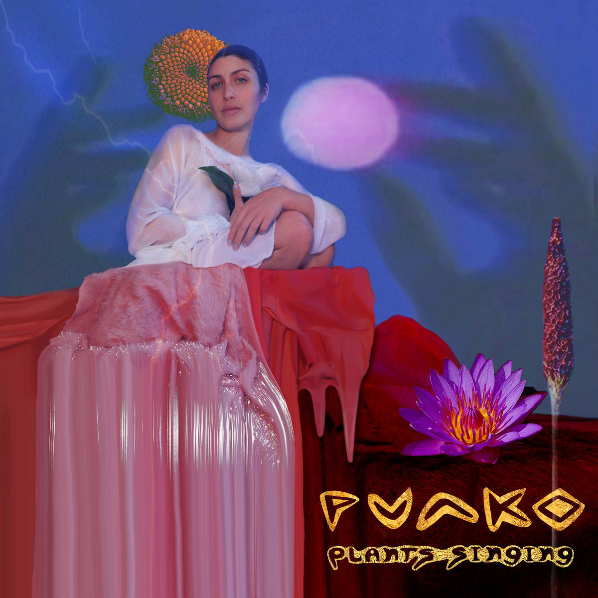 Punko - Plants Singing LP