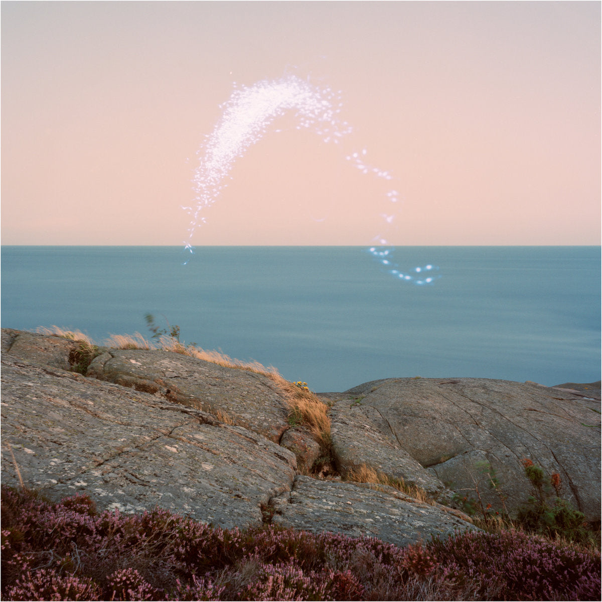 Cassandra Jenkins - An Overview On Phenomenal Nature LP