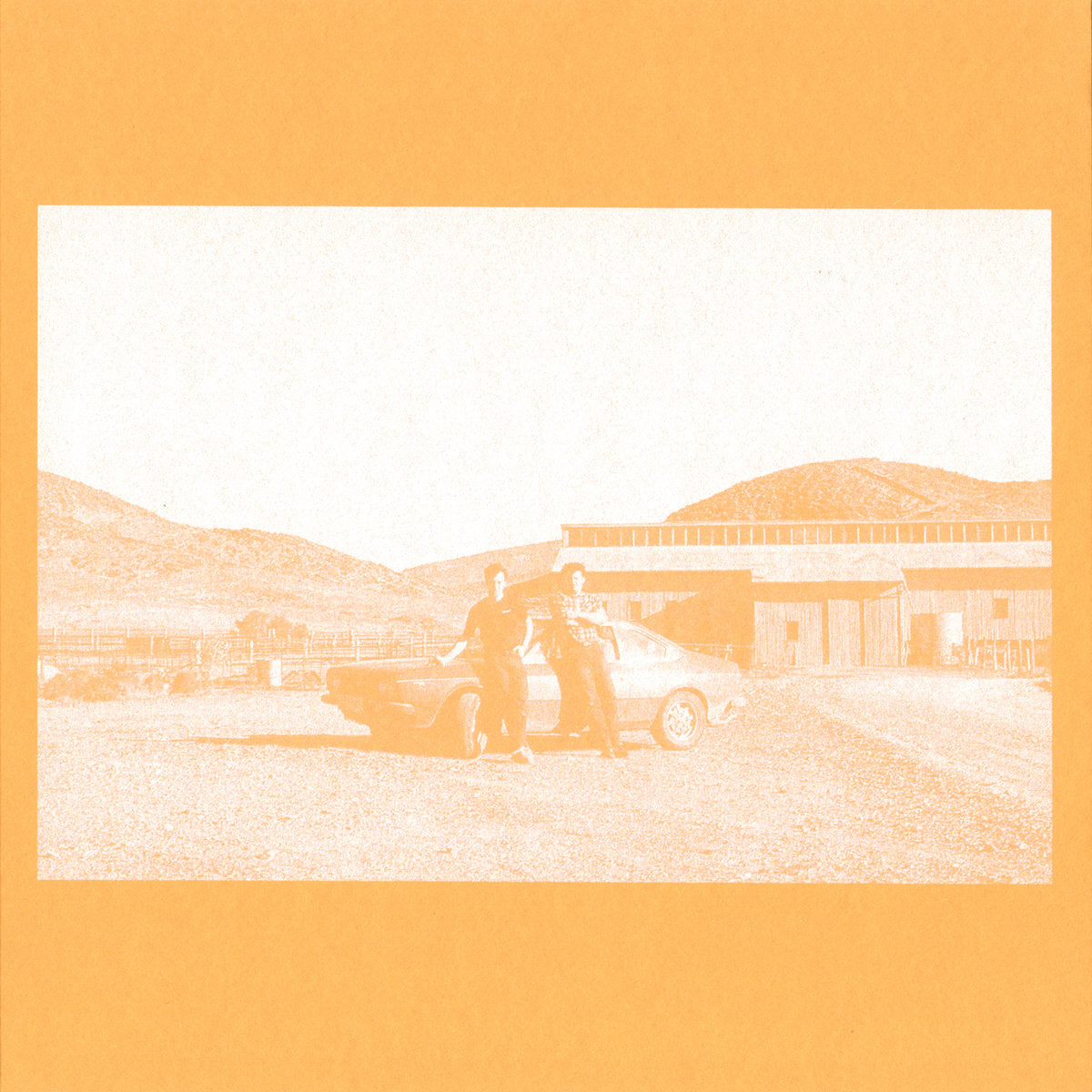 The Frenzied Bricks - The Frenzied Bricks 7"