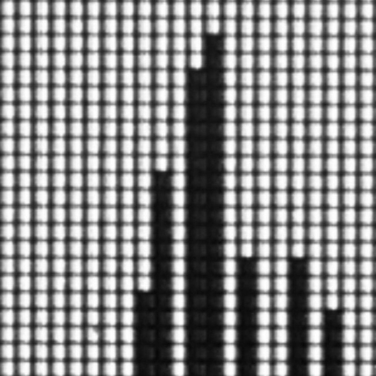 Destrifan - Fantasies CS