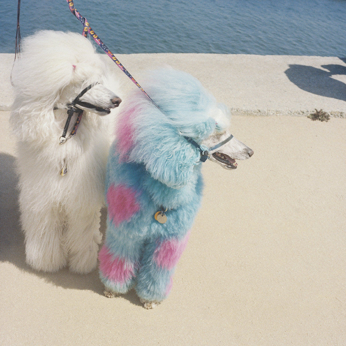 Exek - Advertise Here CD