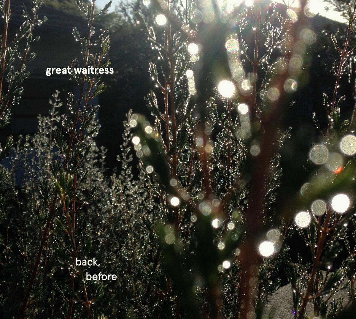 Great Waitress - back, before CD