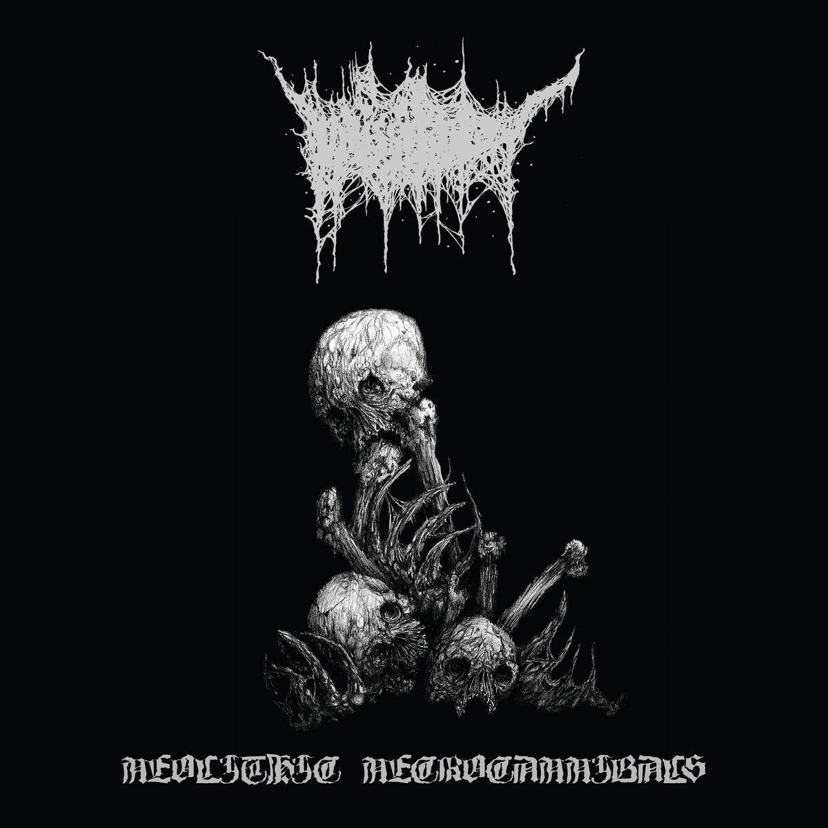 Vicissitude - Neolithic Necrocannibals LP