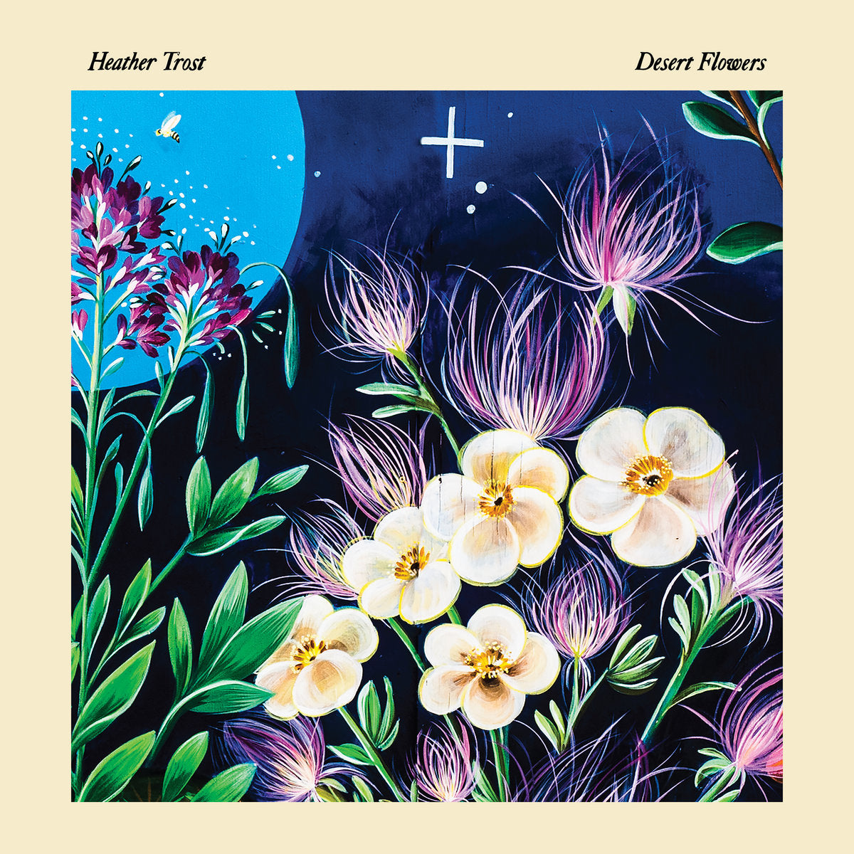 Heather Trost - Desert Flowers LP