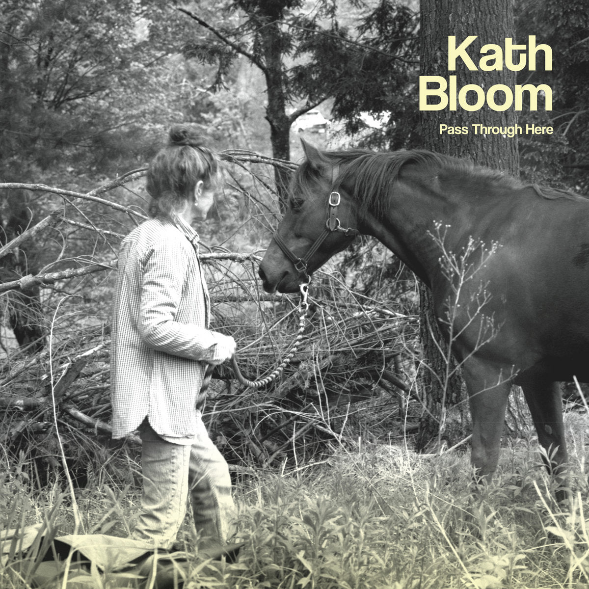Kath Bloom - Pass Through Here LP