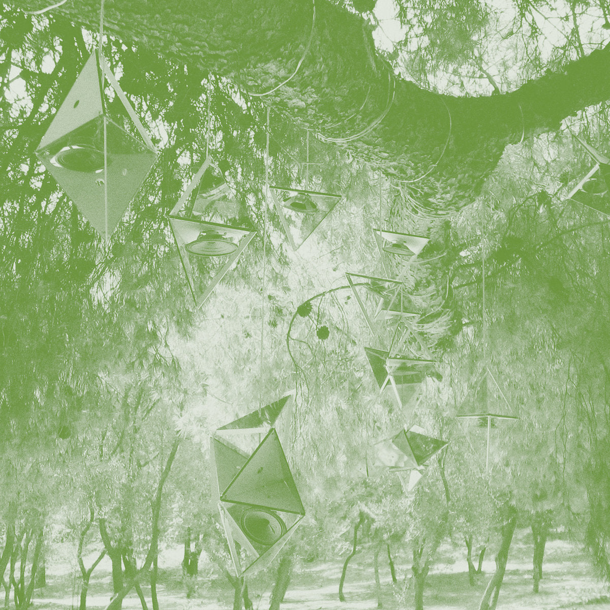 Steve Roden - oionos CD+Book