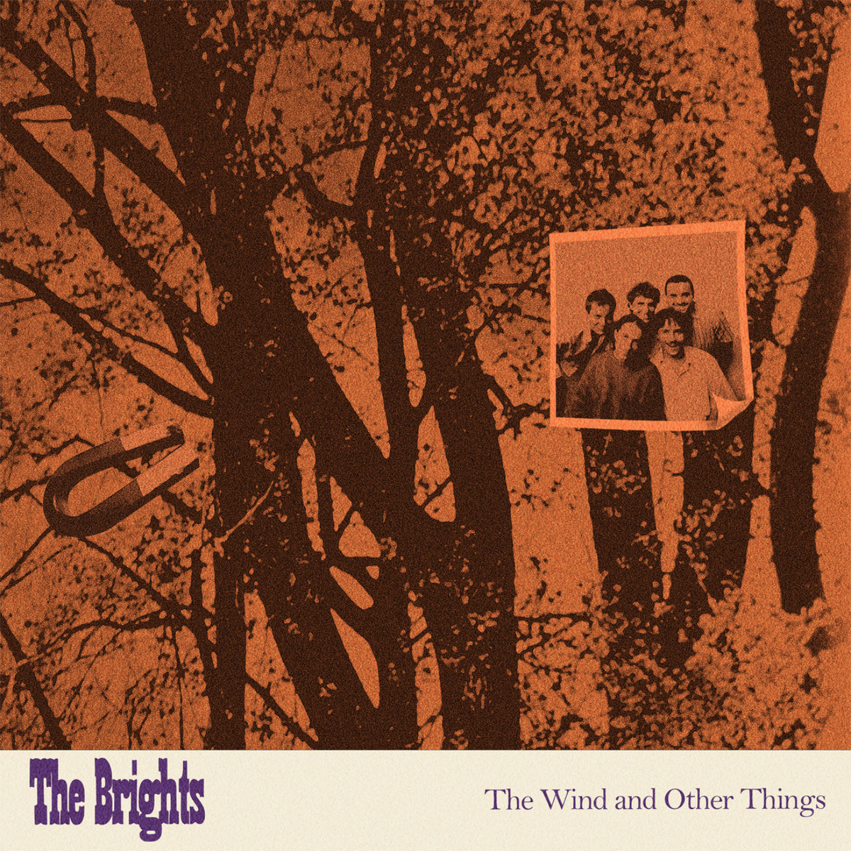 The Brights - The Wind and Other Things CS