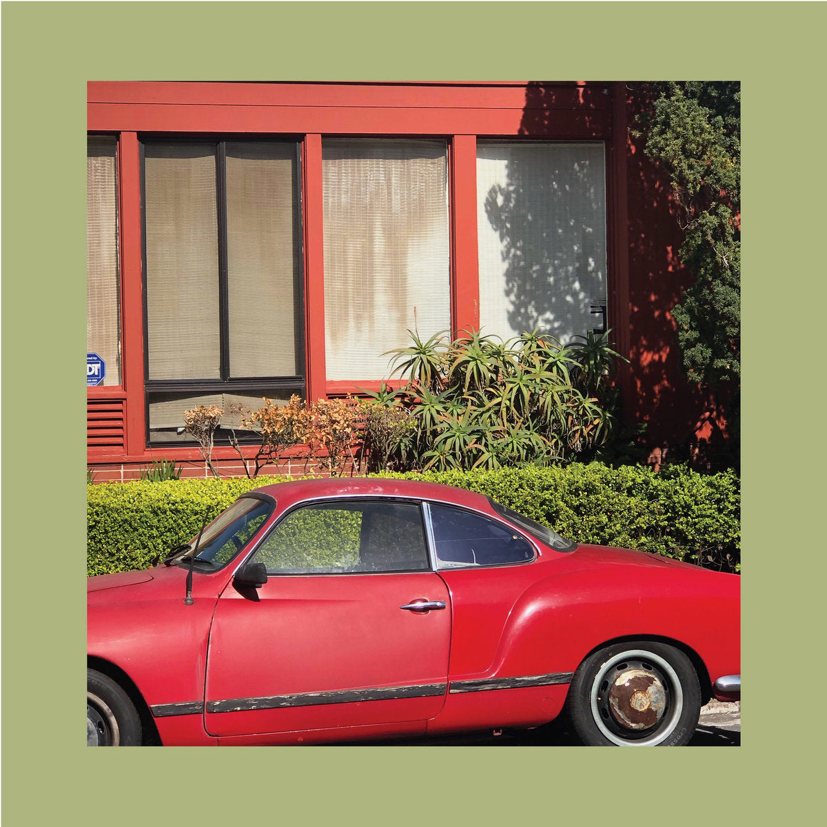 The Reds, Pinks & Purples - The Town That Cursed Your Name LP