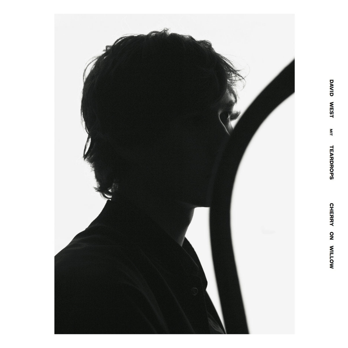 David West with Teardrops - Cherry On Willow LP