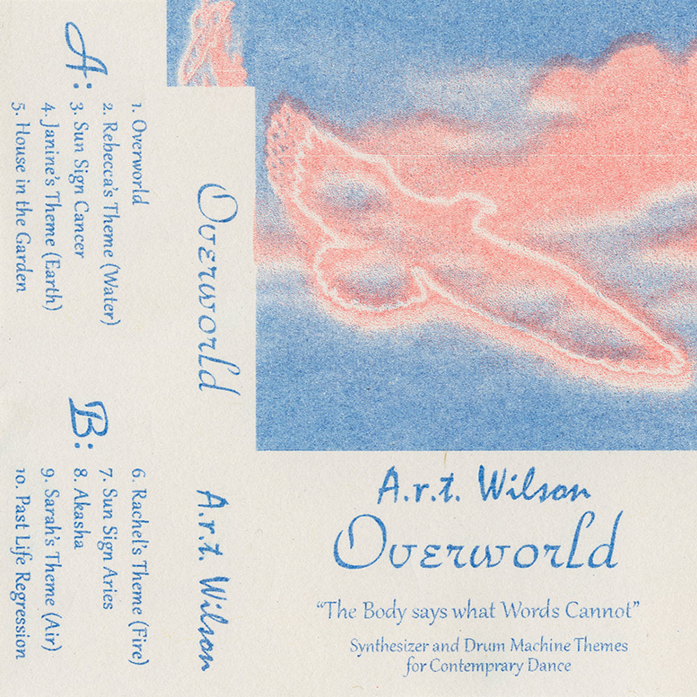 A.R.T. Wilson - Overworld CS