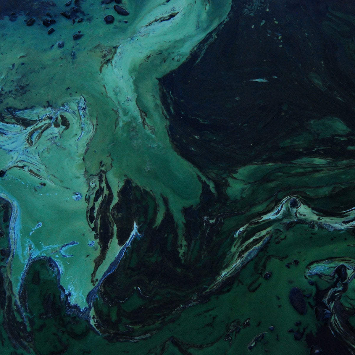 Stelzer / Wright - Utsuro-Bune CS