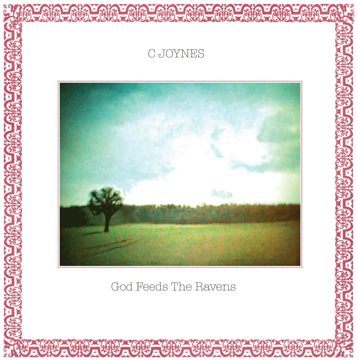 C Joynes - God Feeds The Ravens CD