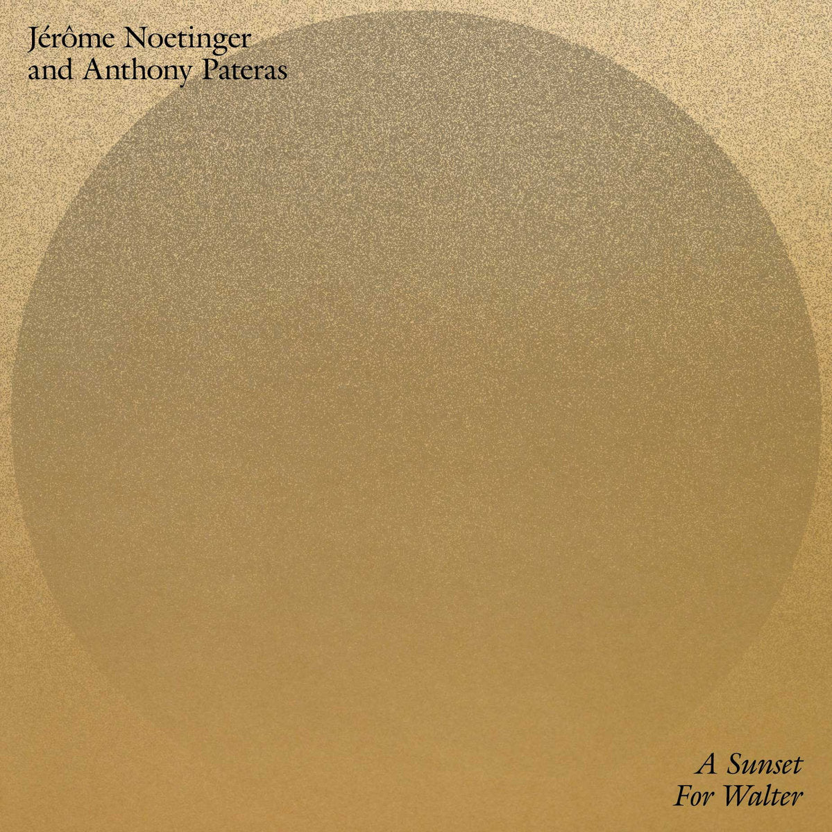 Jerome Noetinger And Anthony Pateras - A Sunset For Walter LP