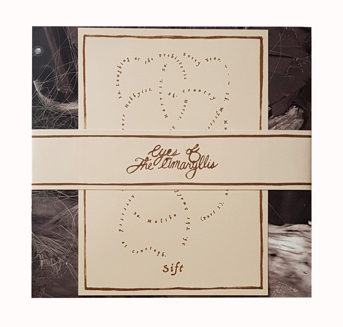 Eyes of the Amaryllis - Sift LP