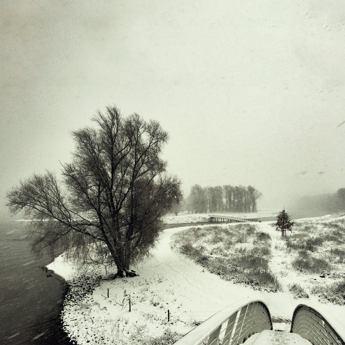 Beequeen - Winter LP