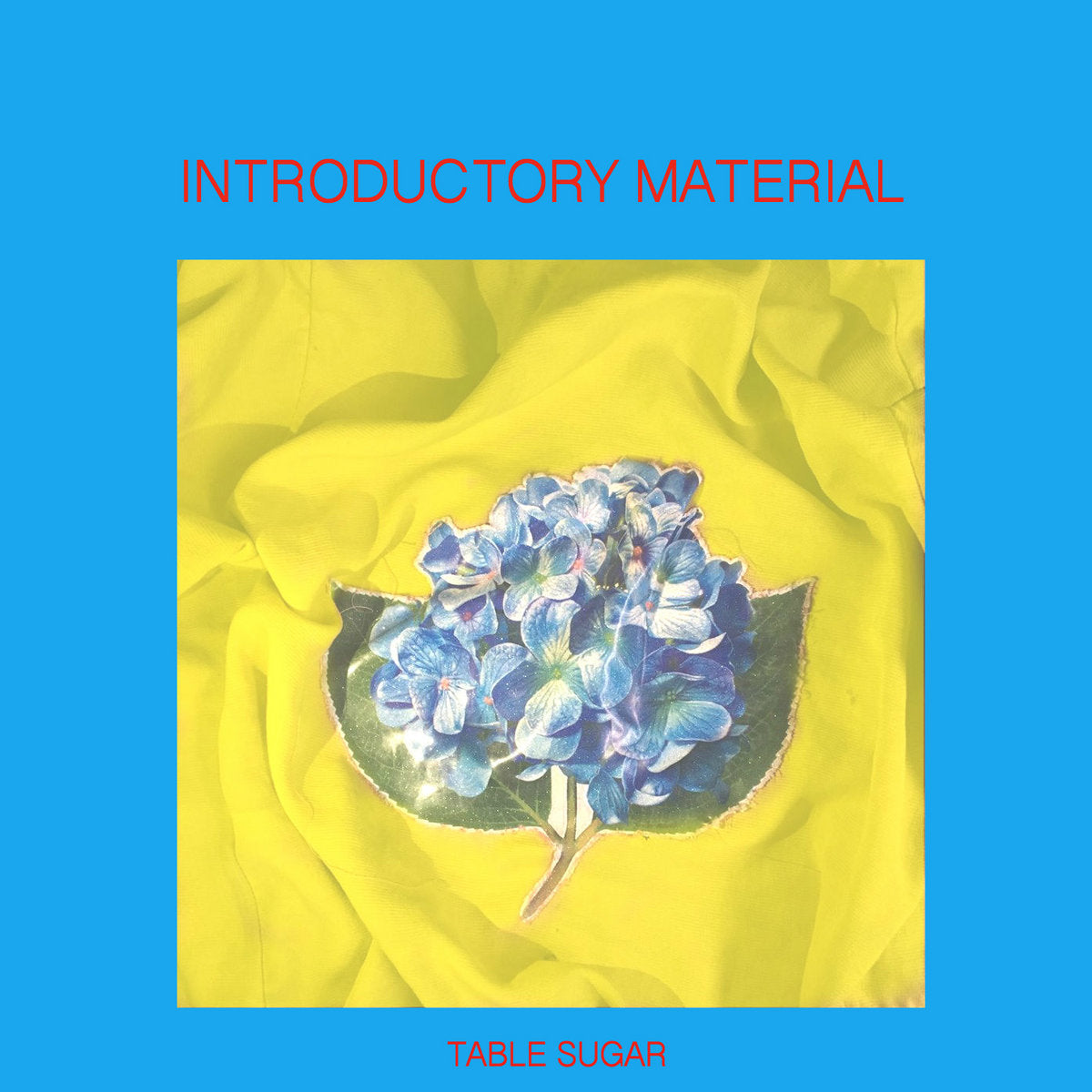 Table Sugar - Introductory Material LP