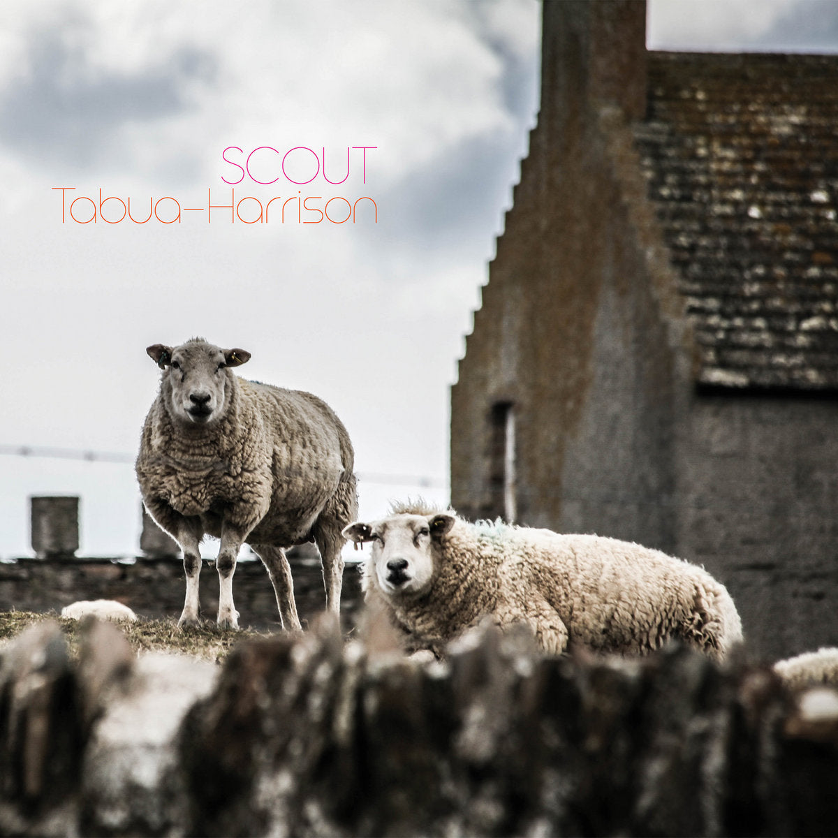 Tabua-Harrison - Scout LP