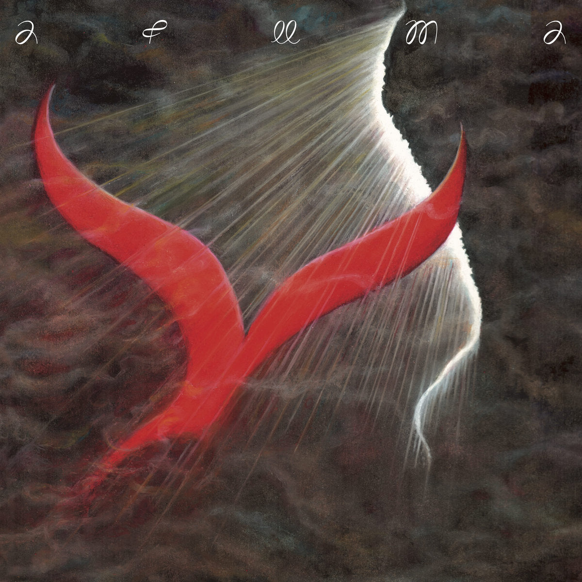 Afuma - Songs From The Shore CD