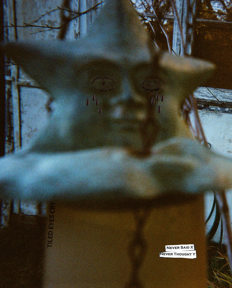 Never Said X. Never Thought Y. - Tiled Eyes Cry CS