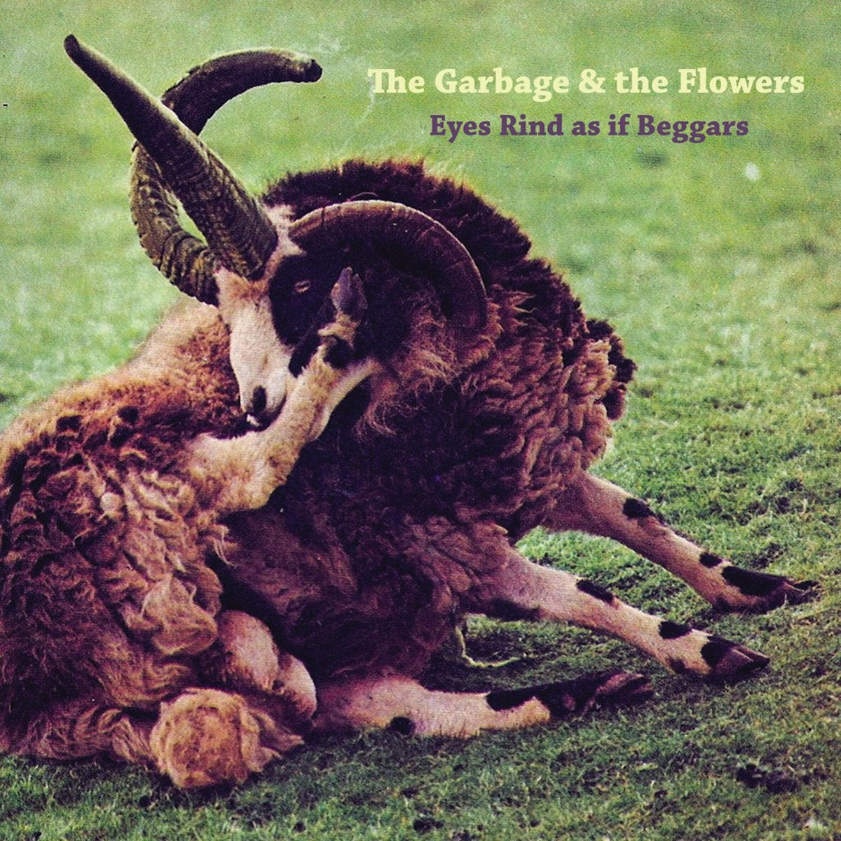 The Garbage & The Flowers - Eyes Rind As If Beggars 2LP+CD