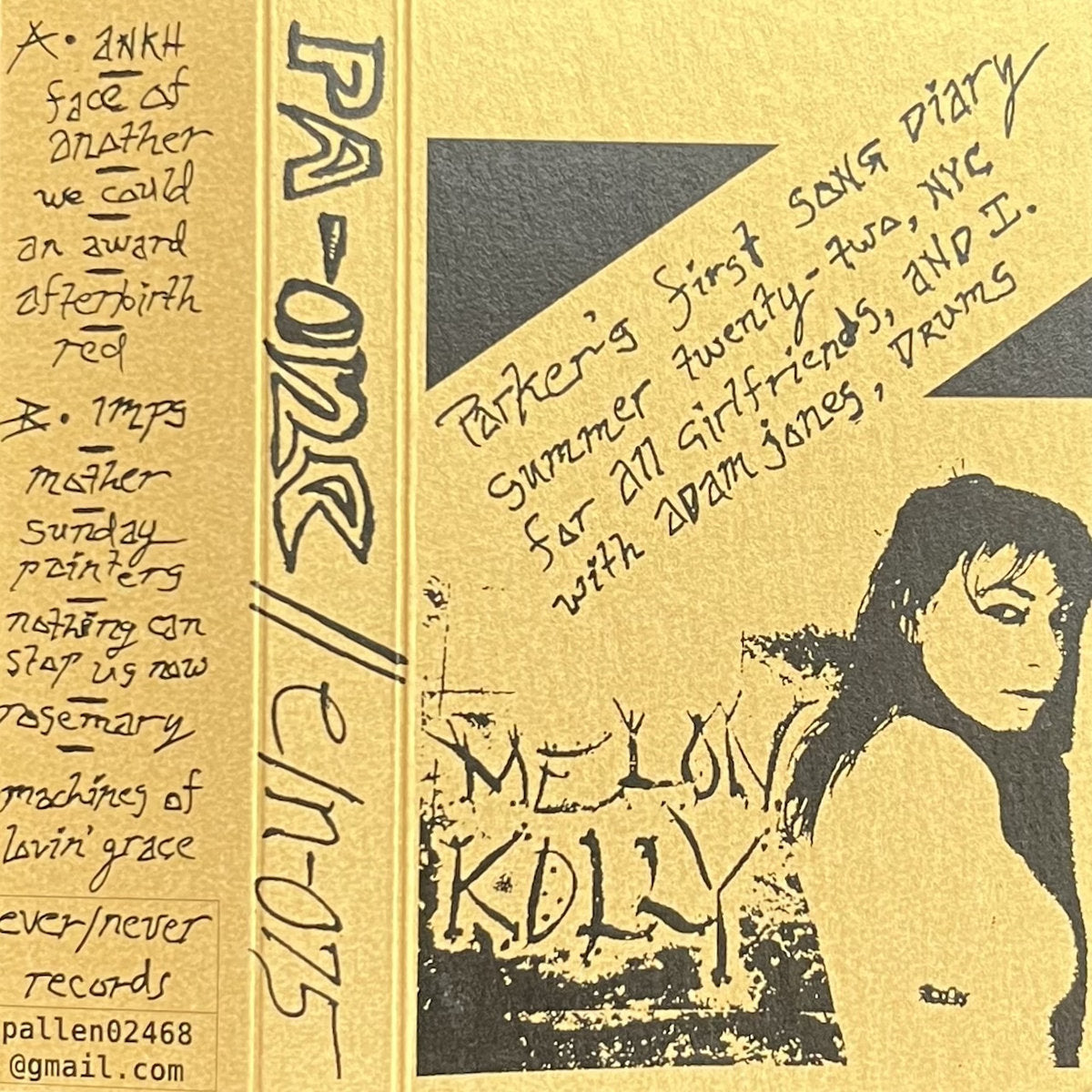 Parker Allen - Parker's First Song Diary CS