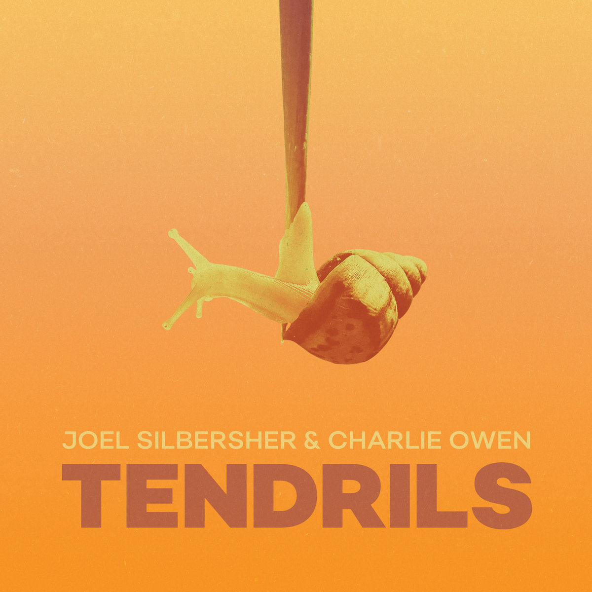 Joel Silbersher & Charlie Owen - Tendrils LP