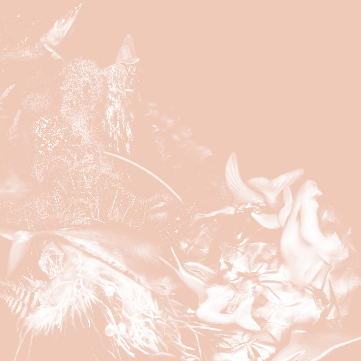 Alexandra Spence - Waking, She Heard The Fluttering CD