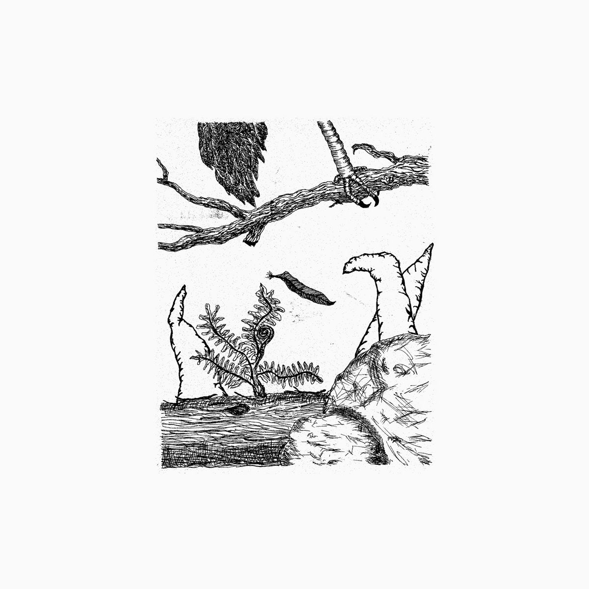 Small Cruel Party - è vago fior del tempo LP