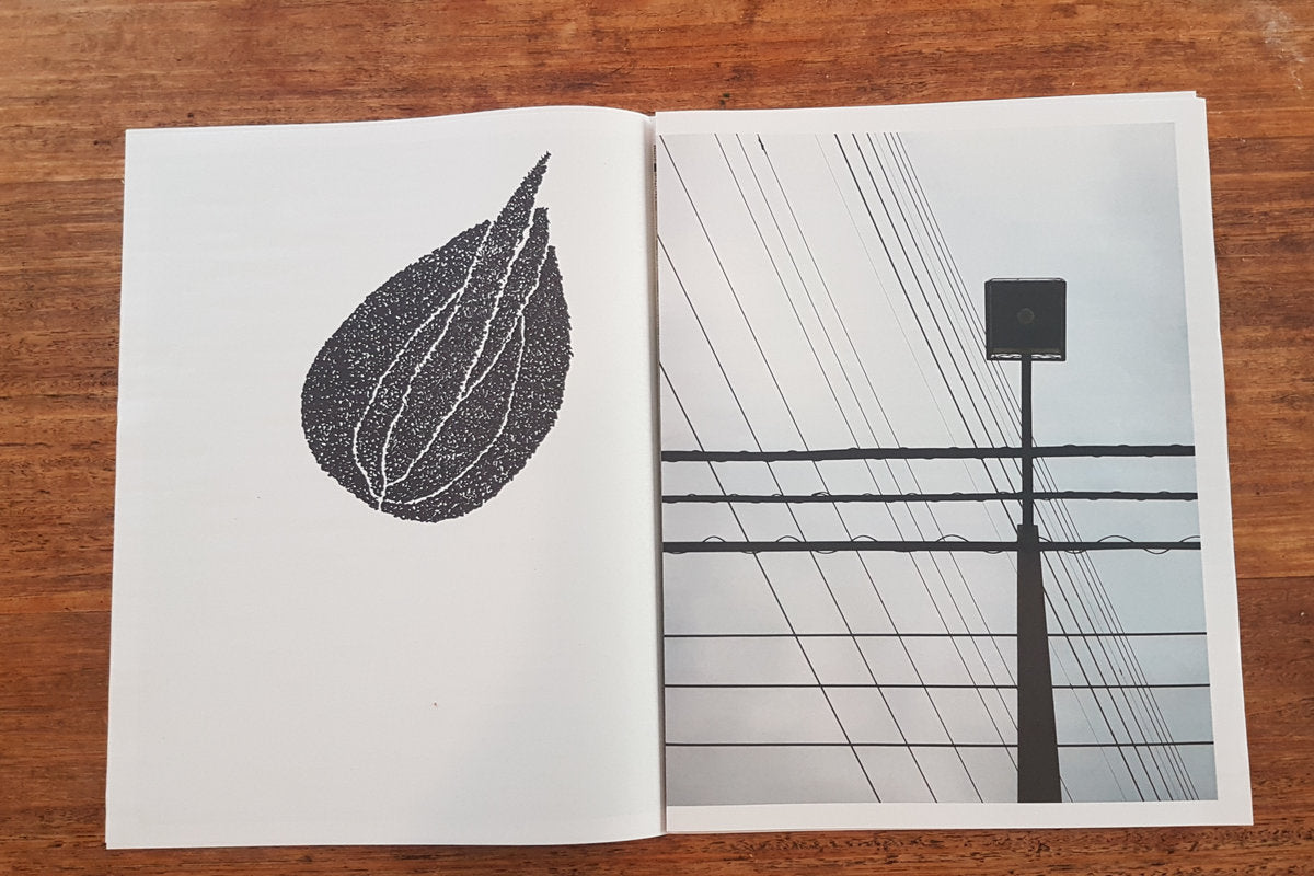 Taku Unami and Eric La Casa - KINDLING #1 - Parazoan Mapping #2 Newsprint Zine & Audio download code