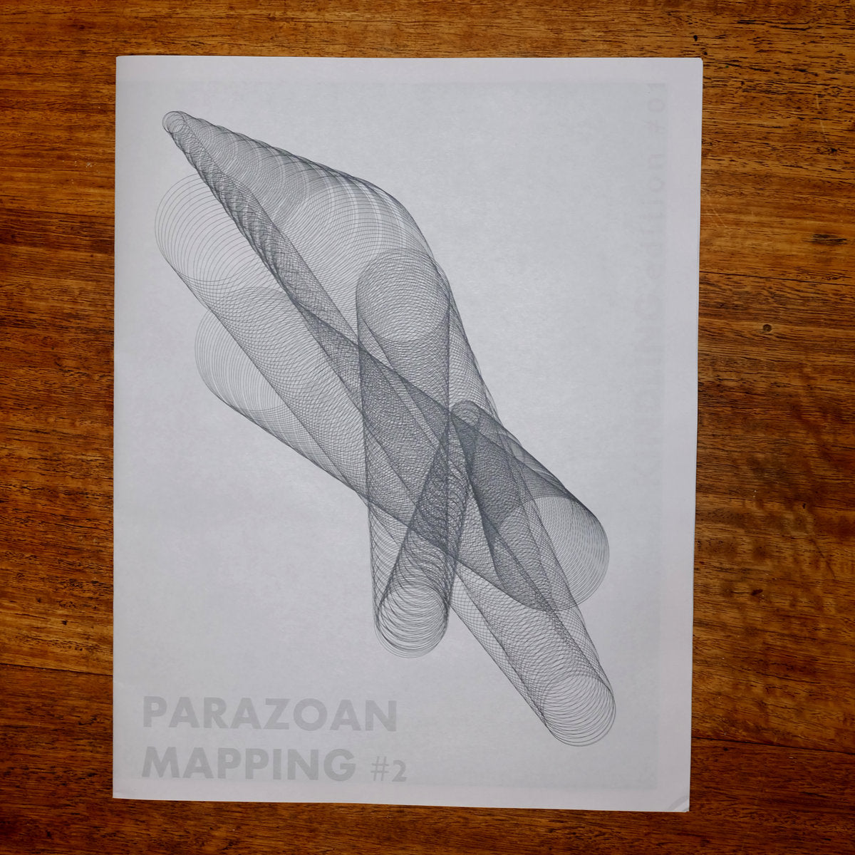 Taku Unami and Eric La Casa - KINDLING #1 - Parazoan Mapping #2 Newsprint Zine & Audio download code