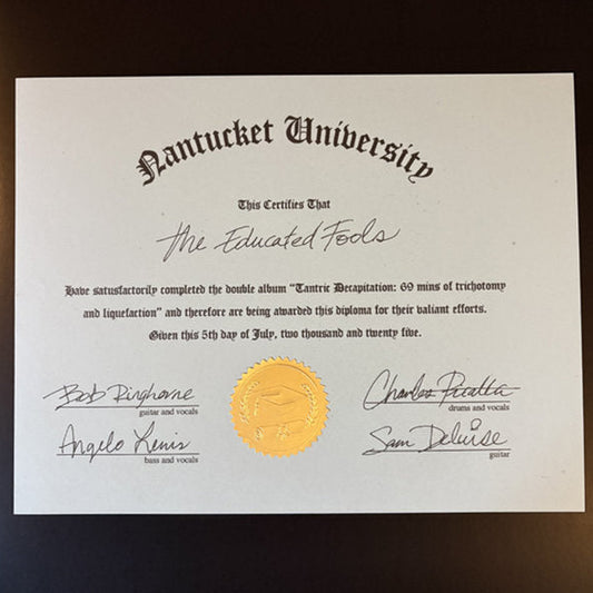 Retail Simps - Tantric Decapitation: 69 minutes of trichotomy and liquefaction 2LP