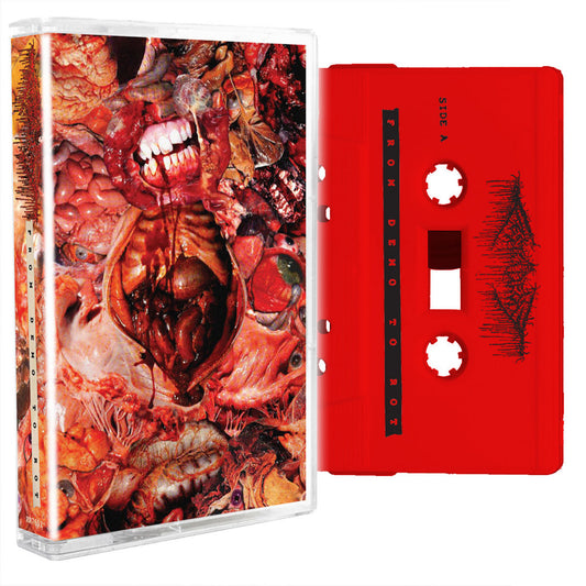 FesterDecay - From Demo To Rot CS