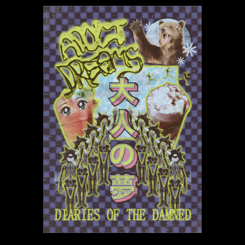 Adult Dreams - Diaries Of The Damned Zine